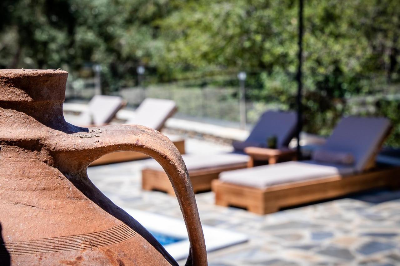 Villa Ifigeneia Skopelos Με Πισίνα Και Υπέροχη Θέα Exterior photo