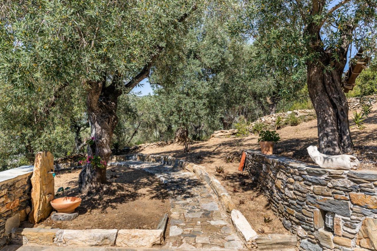 Villa Ifigeneia Skopelos Με Πισίνα Και Υπέροχη Θέα Exterior photo
